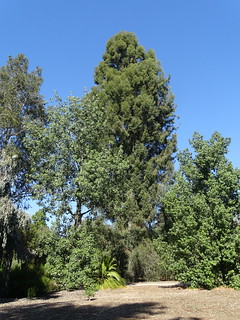 31251115371_0c8372274d_n.jpg
