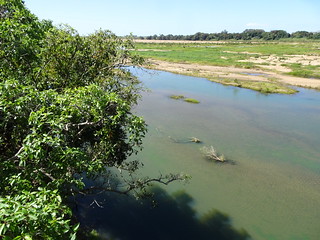 30107635638_32cbf44118_n.jpg