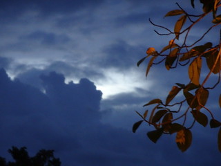 35760734422_06b51324a8_n.jpg