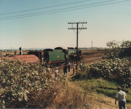 32215074312_919003cc50.jpg