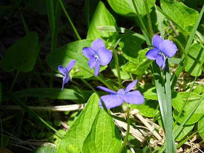 DSC00170.JPG