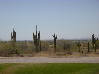 40862699014_21af040a43_n.jpg
