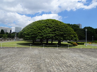 28682864438_0779f13040_n.jpg