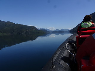 42483284572_71df9f6672_n.jpg