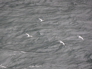 33180592268_f128439c99_n.jpg