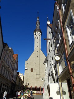 29017759110_7ec3dfeec7_n.jpg