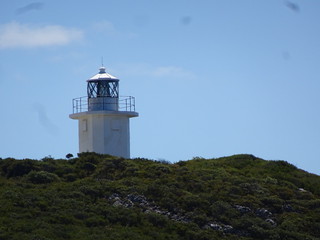 39302374415_0355f64347_n.jpg