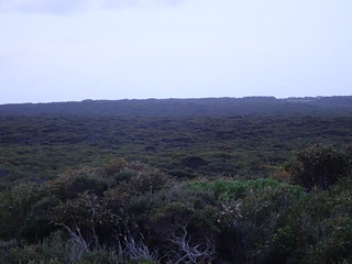 37049700176_631e82ae11_n.jpg