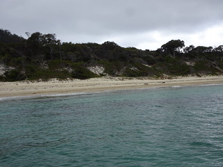 38400566076_57798596ea_n.jpg