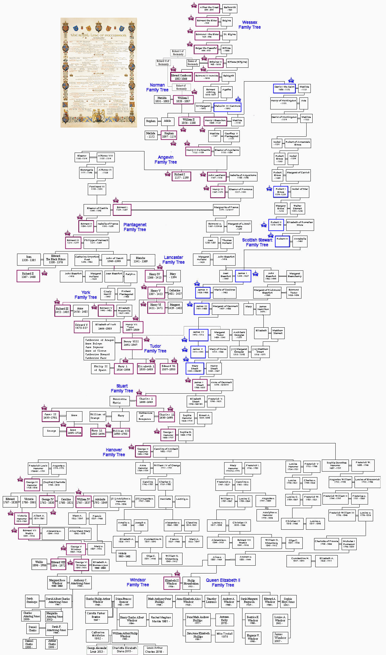 Alfred-tree.gif