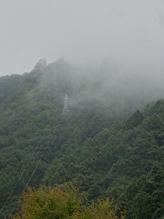 30821778698_850581c211_n.jpg
