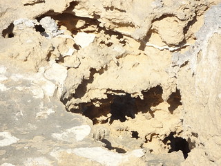 37300271205_37322aa998_n.jpg