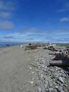 42387506801_e55d4813c8_n.jpg