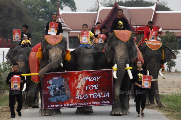 www.bangkokpost.com