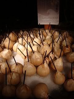 ac_00113.jpg