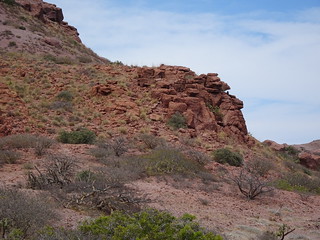 41108150805_f3cb5d53af_n.jpg