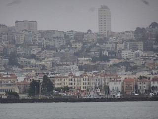 41429846945_d7e74aa43b_n.jpg