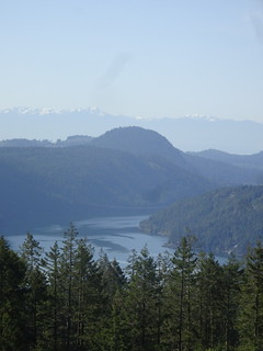 41632972835_52d67a5cc5_n.jpg