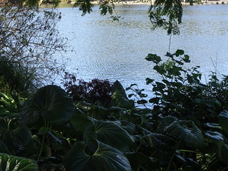 32303710407_e34382606c_n.jpg