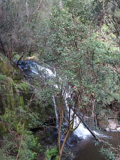 37928117296_2f9ebc6637_n.jpg