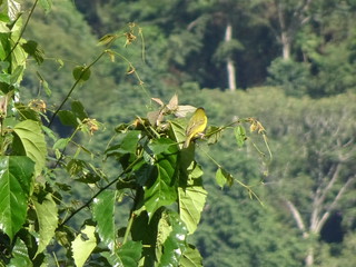 33344666854_0a9390e310_n.jpg