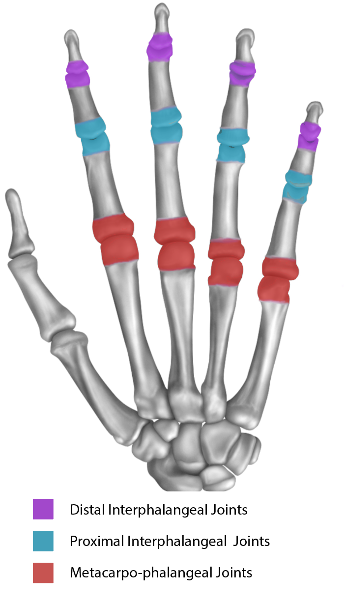 fifevirtualhandclinic.co.uk