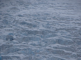 33659827516_cbea351c52_n.jpg