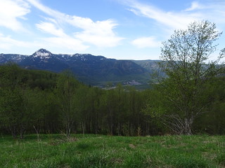 28491504318_1d8f6bc86c_n.jpg[