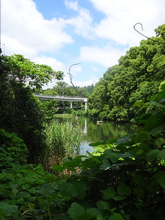27686500027_cc6ce25f7d_n.jpg