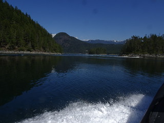 41632983475_10b719e76a_n.jpg