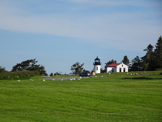 41708719634_b57d72d316_n.jpg