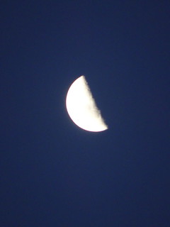 34146609556_161919ee79_n.jpg
