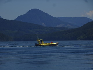 41632967455_86208e73b1_n.jpg