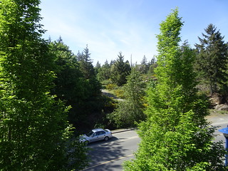 28559002988_a8c3348301_n.jpg