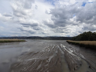 38030142566_f97e6ee055_n.jpg