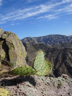 41344994894_98d70e74a6_n.jpg