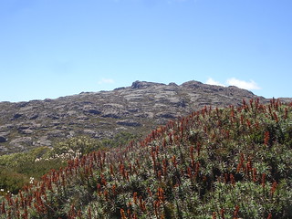 45802538045_7a309c9d49_n.jpg