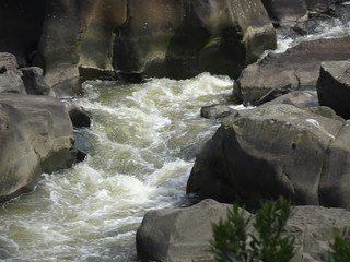 23575943308_58578623ef_n.jpg
