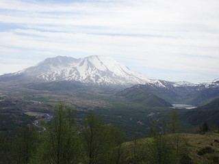28491644508_631781c75c_n.jpg