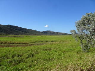 42261259350_82b000f5d7_n.jpg