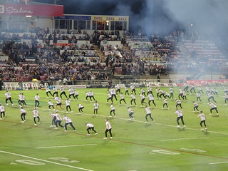 43331581765_137cf49821_n.jpg