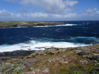 37153076866_8d2e910389_n.jpg