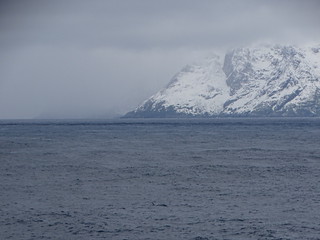 33544137692_33d9f90cde_n.jpg