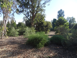 31251113461_9400863ecd_n.jpg