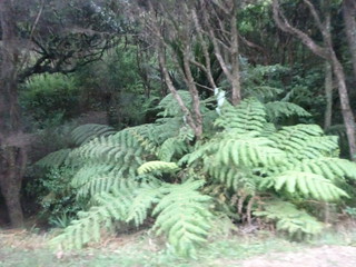 46328120745_374c67b252_n.jpg
