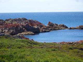 39302374235_952f91f587_n.jpg