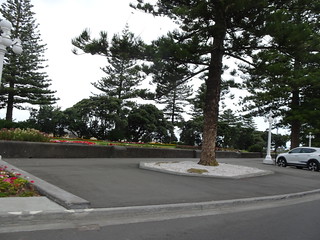 46328884715_fd2419e516_n.jpg