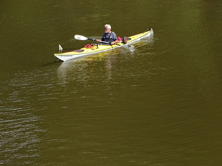 29424676551_cf9d776311_n.jpg