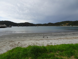 46163559615_1d862204bb_n.jpg