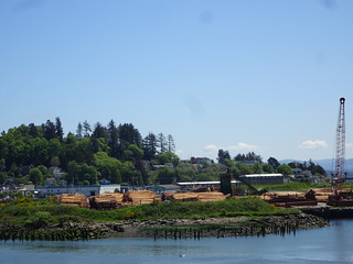 41633958104_361cb64c48_n.jpg
